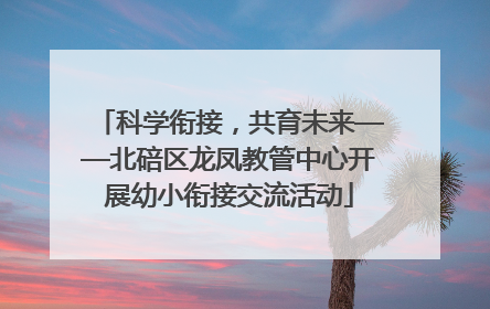 科学衔接，共育未来——北碚区龙凤教管中心开展幼小衔接交流活动