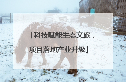 科技赋能生态文旅，项目落地产业升级