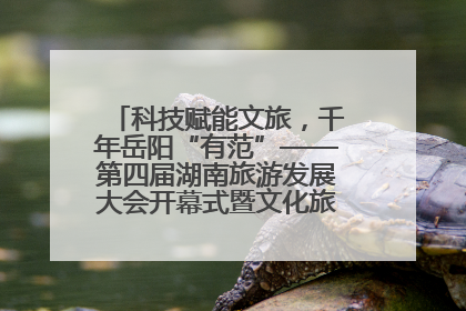 科技赋能文旅，千年岳阳“有范”——第四届湖南旅游发展大会开幕式暨文化旅游推介会侧记