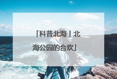 科普北海丨北海公园的合欢