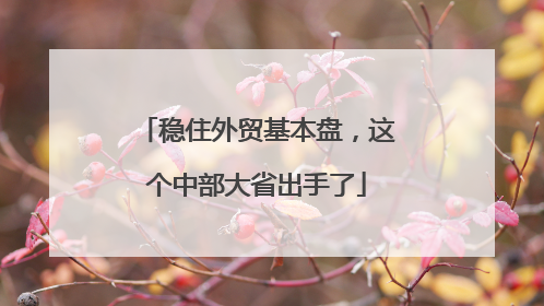 稳住外贸基本盘，这个中部大省出手了