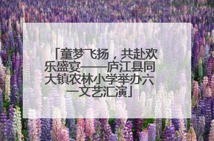 童梦飞扬，共赴欢乐盛宴——庐江县同大镇农林小学举办六一文艺汇演