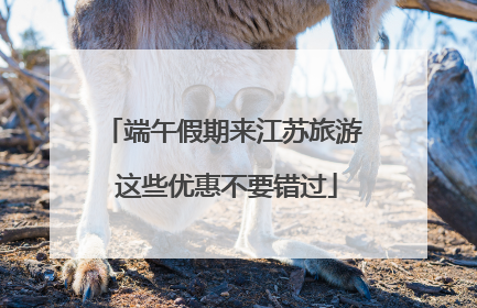 端午假期来江苏旅游 这些优惠不要错过