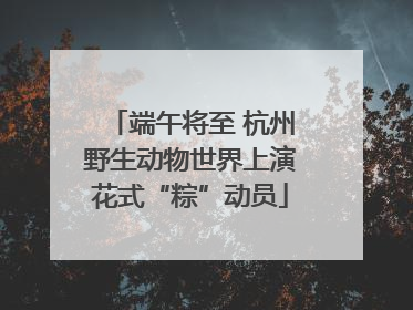端午将至 杭州野生动物世界上演花式“粽”动员