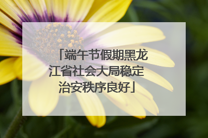 端午节假期黑龙江省社会大局稳定治安秩序良好