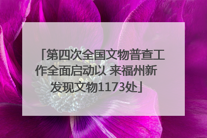 第四次全国文物普查工作全面启动以 来福州新发现文物1173处
