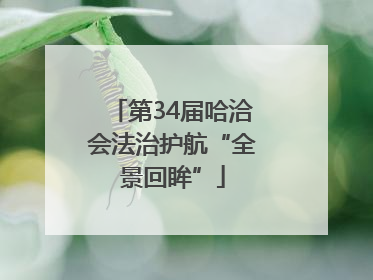 第34届哈洽会法治护航“全景回眸”