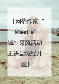 网络作家“Meet 盐城”采风活动走进盐城经开区