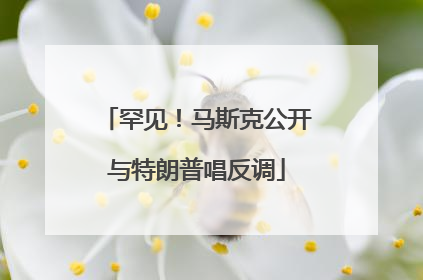 罕见！马斯克公开与特朗普唱反调