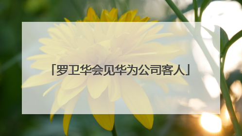 罗卫华会见华为公司客人