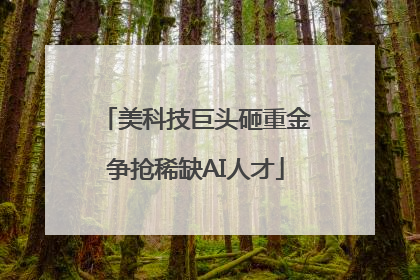 美科技巨头砸重金争抢稀缺AI人才