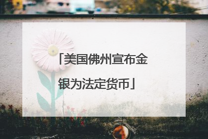 美国佛州宣布金银为法定货币