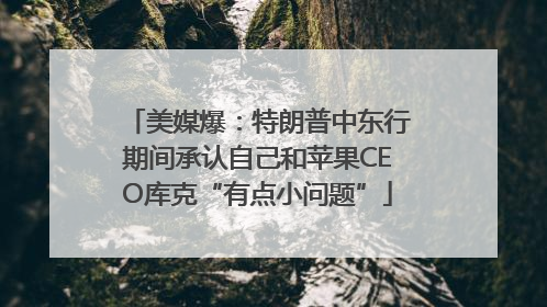 美媒爆：特朗普中东行期间承认自己和苹果CEO库克“有点小问题”