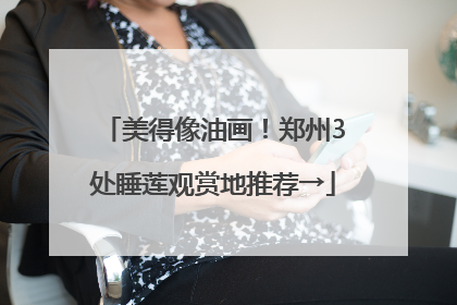 美得像油画！郑州3处睡莲观赏地推荐→