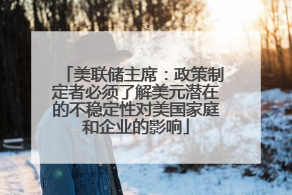 美联储主席：政策制定者必须了解美元潜在的不稳定性对美国家庭和企业的影响