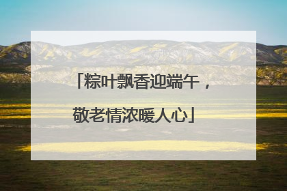 粽叶飘香迎端午，敬老情浓暖人心