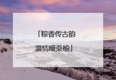 粽香传古韵 温情暖桑榆