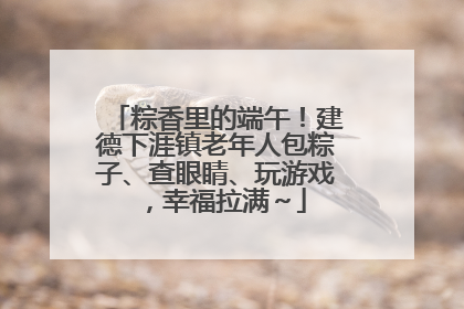 粽香里的端午！建德下涯镇老年人包粽子、查眼睛、玩游戏，幸福拉满～