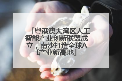 粤港澳大湾区人工智能产业创新联盟成立，南沙打造全球AI产业新高地