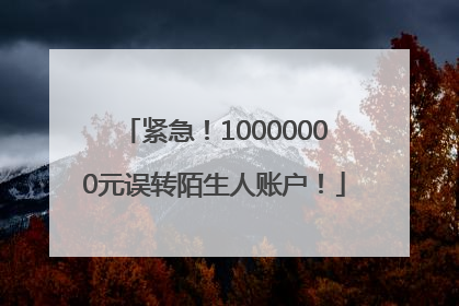 紧急！10000000元误转陌生人账户！