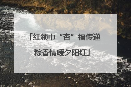 红领巾“杏”福传递 粽香情暖夕阳红