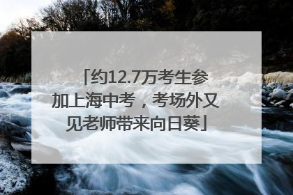 约12.7万考生参加上海中考，考场外又见老师带来向日葵