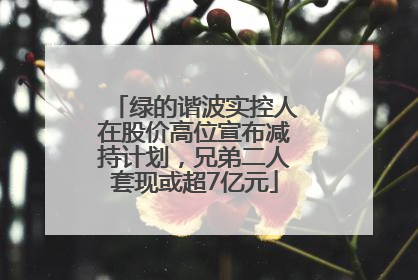 绿的谐波实控人在股价高位宣布减持计划，兄弟二人套现或超7亿元