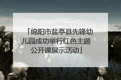 绵阳市盐亭县先锋幼儿园成功举行红色主题公开课展示活动