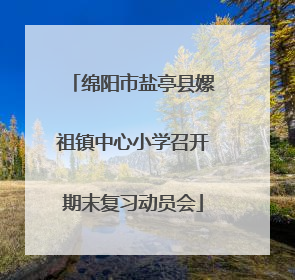 绵阳市盐亭县嫘祖镇中心小学召开期末复习动员会