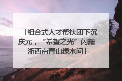组合式人才帮扶团下沉庆元，“希望之光”闪耀浙西南青山绿水间