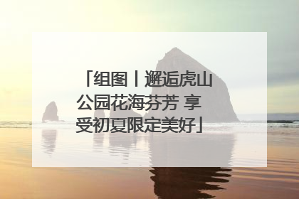 组图丨邂逅虎山公园花海芬芳 享受初夏限定美好