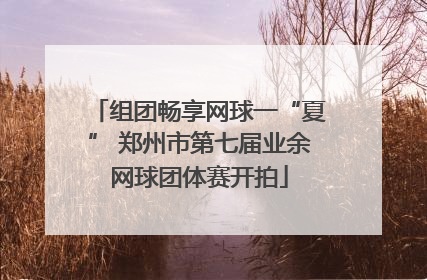 组团畅享网球一“夏” 郑州市第七届业余网球团体赛开拍