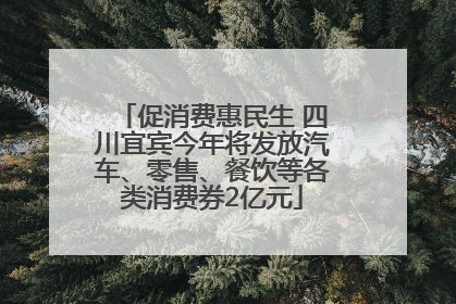 促消费惠民生 四川宜宾今年将发放汽车、零售、餐饮等各类消费券2亿元