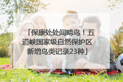保康处处闻啼鸟！五道峡国家级自然保护区新增鸟类记录23种