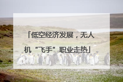 低空经济发展，无人机“飞手”职业走热
