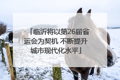 临沂将以第26届省运会为契机 不断提升城市现代化水平