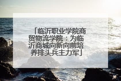 临沂职业学院商贸物流学院：为临沂商城向新向前培养排头兵主力军