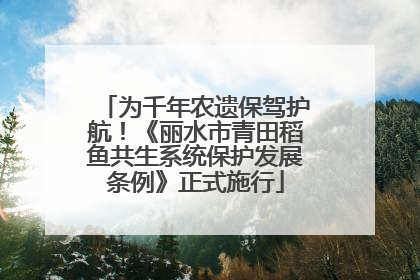 为千年农遗保驾护航！《丽水市青田稻鱼共生系统保护发展条例》正式施行