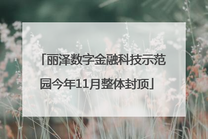 丽泽数字金融科技示范园今年11月整体封顶