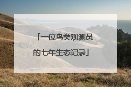 一位鸟类观测员的七年生态记录