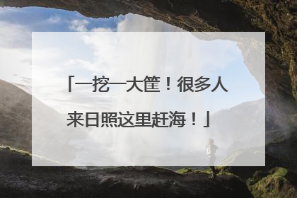 一挖一大筐！很多人来日照这里赶海！