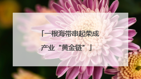 一根海带串起荣成产业“黄金链”