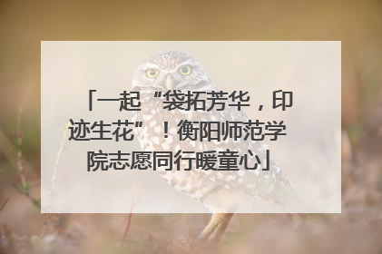 一起“袋拓芳华，印迹生花”！衡阳师范学院志愿同行暖童心
