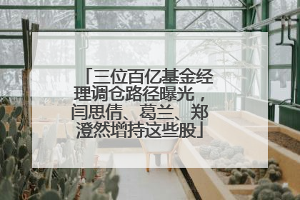 三位百亿基金经理调仓路径曝光，闫思倩、葛兰、郑澄然增持这些股