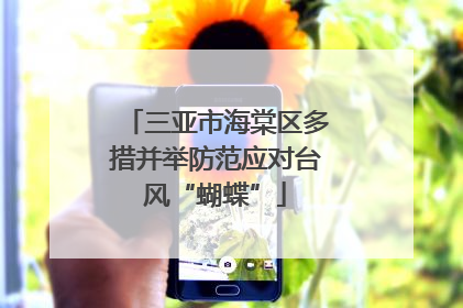 三亚市海棠区多措并举防范应对台风“蝴蝶”