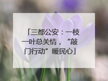 三都公安：一枝一叶总关情，“敲门行动”暖民心
