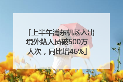 上半年浦东机场入出境外籍人员破500万人次，同比增46%