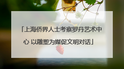 上海侨界人士考察罗丹艺术中心 以雕塑为媒促文明对话
