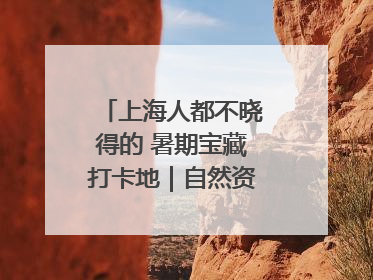 上海人都不晓得的 暑期宝藏打卡地｜自然资源探馆系列②