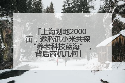上海划地2000亩，邀腾讯小米共探“养老科技蓝海”，背后商机几何